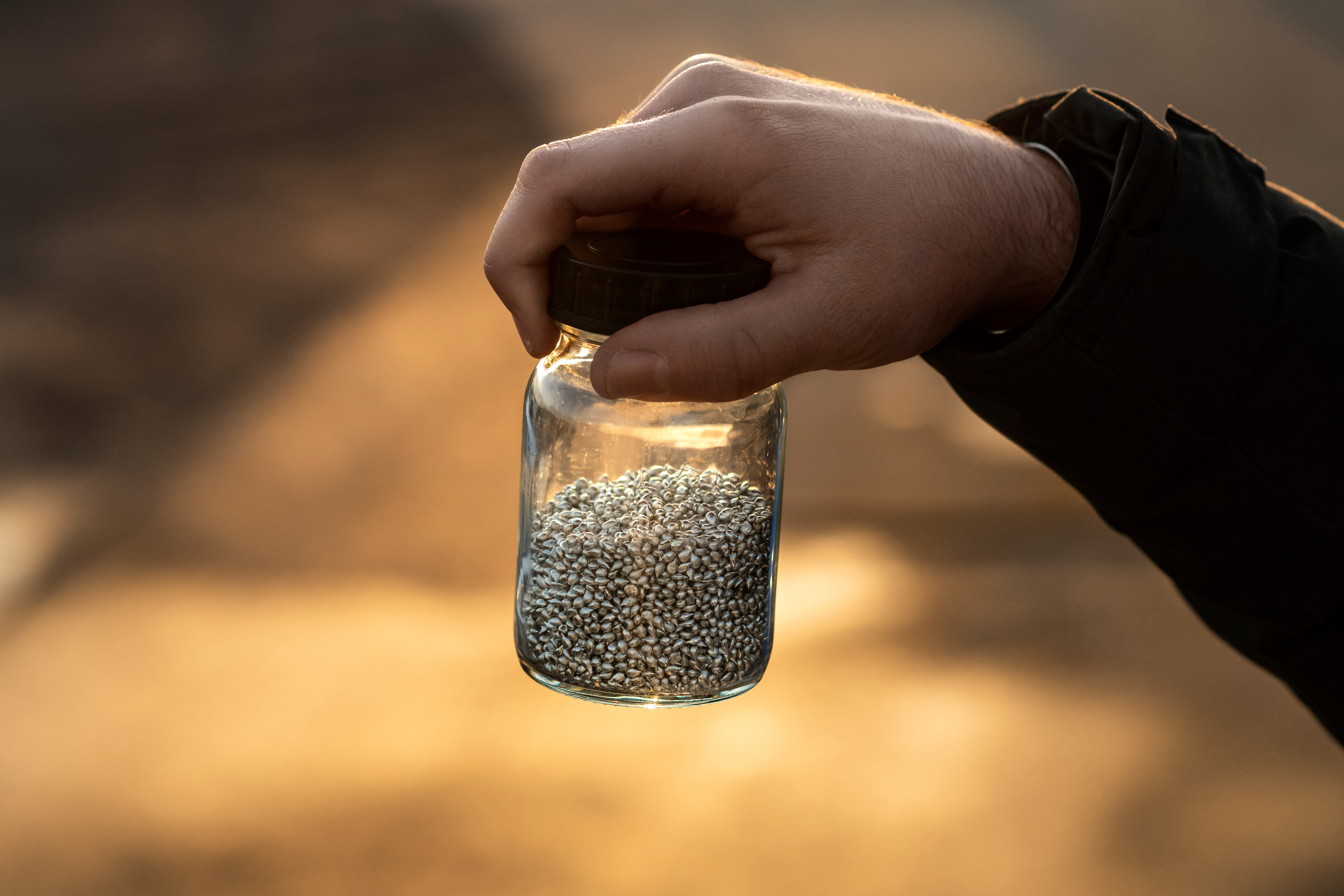 Expertise in der Zinnchemie und Zinnorganik Expertise in der Zinnchemie und Zinnorganik